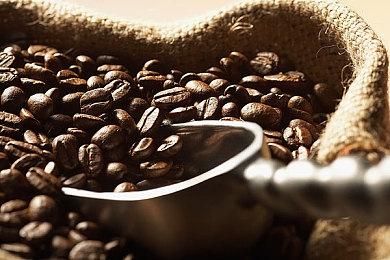 特别好评游戏《雨中迷失之人》即将添加官方中文