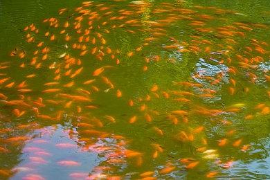 “英雄传说轨迹系列”集换式卡牌游戏宣布 预计2024年发售